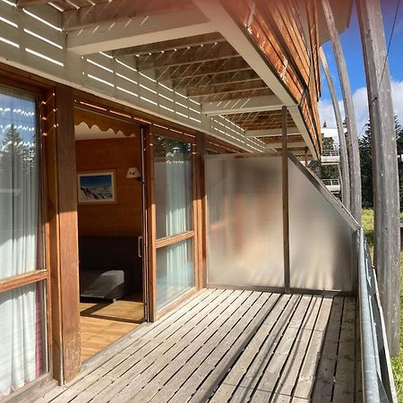 Appartement Pied Des Pistes, Terrasse Wifi Et Parking 샴루스 외부 사진